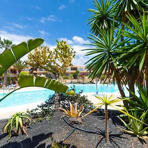 sol-corralejo.in-canary-islands.com/